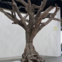 Ai-Weiwei