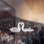 Alec-Soth